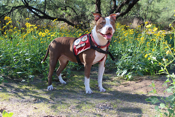 Scarlett 10-19_005