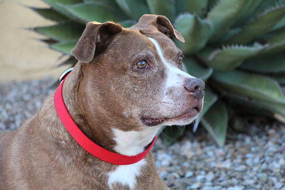 Butchie 10-19_032