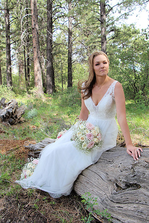 Dixon Wedding _016