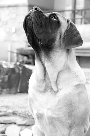 Wilson 6-19_002bw