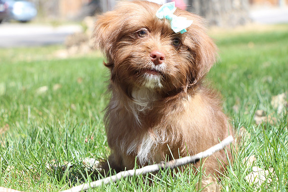 Minnie 4-21_007